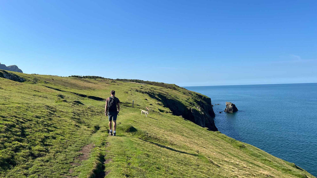 wales-dog-friendly-beaches