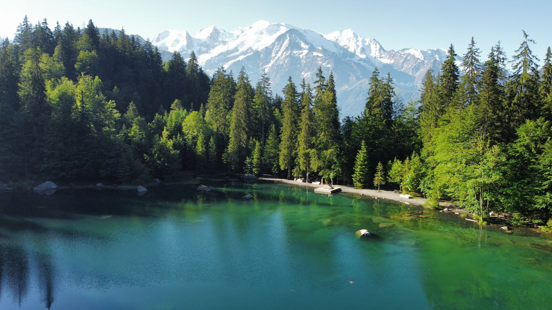Lac Vert surrounded by forest and with Mont Blanc massif in the background