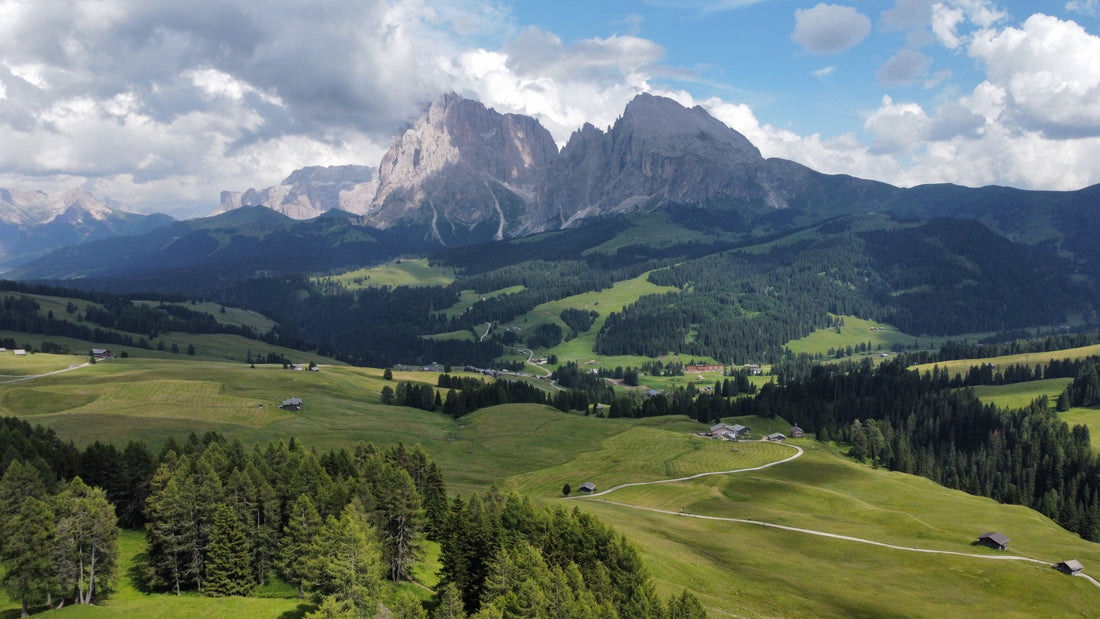 Alpe di Siusi, lush green alpine pasture, with Dolomite mountains in the background