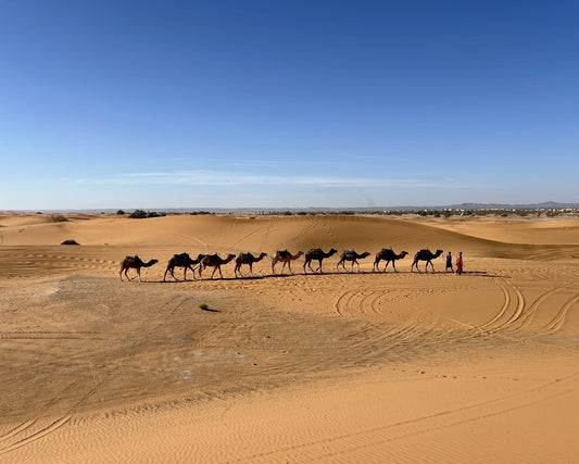 Morocco Road Trip: Things to Know Before You Go