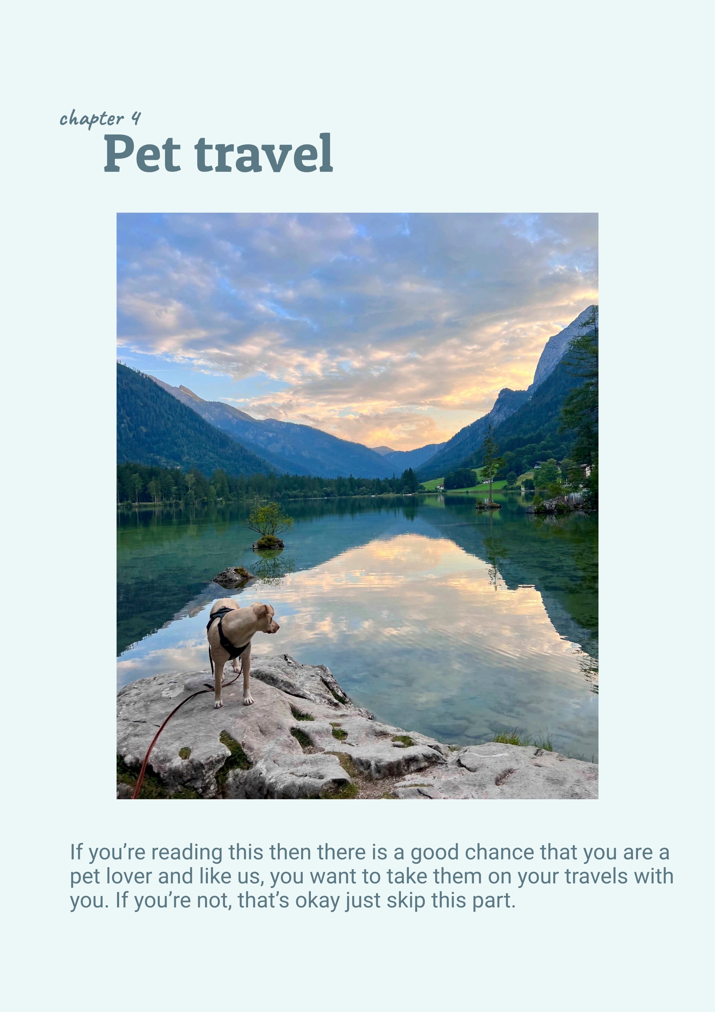 Alps guide pet travel title page